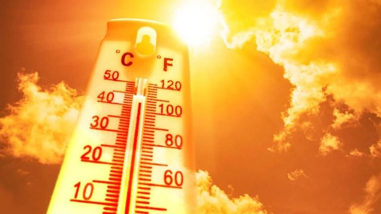 Summer fifty!  Delhi breaks 100-year record, mercury nears 50 in Najabgarh