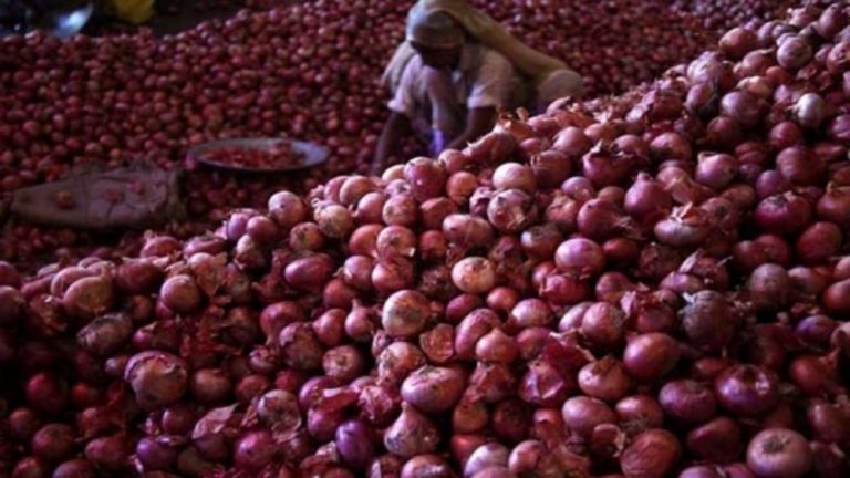 Election: Onion price will not increase during elections in the country, government took a big decision