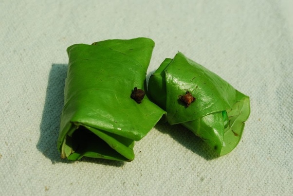 Betel leaf is a sure shot cure for these serious diseases, so start eating betel leaf from today itself