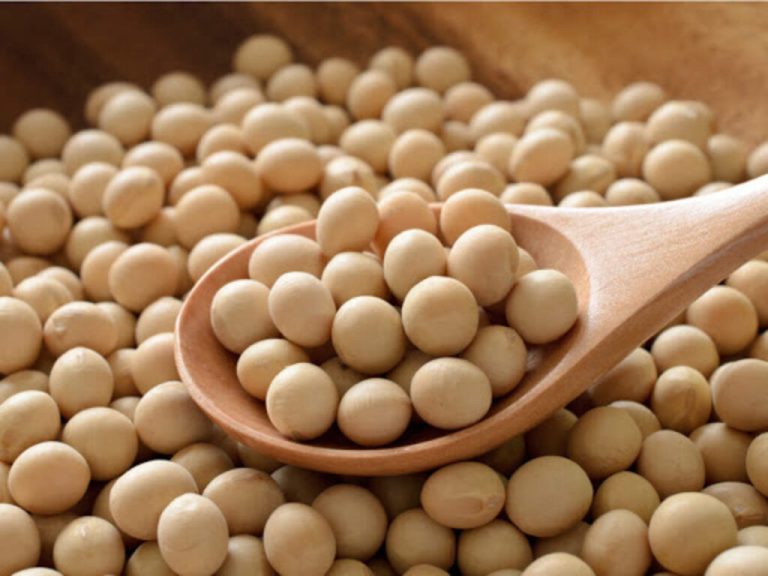 Keep your skin, hair and body beautiful and healthy with soybean