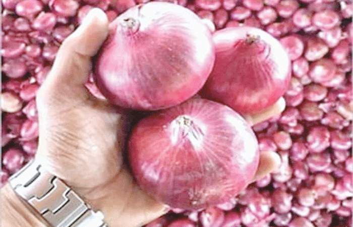 Onion prices increased by more than 20 percent in a week – ..