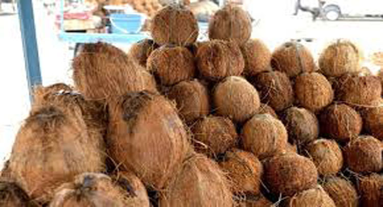 This disease is completely eradicated by consuming coconut fibre