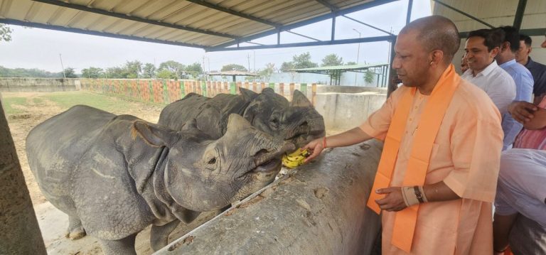 UP News: CM Yogi visited Gorakhpur Zoo and fed bananas to rhinos Hari and Gauri.