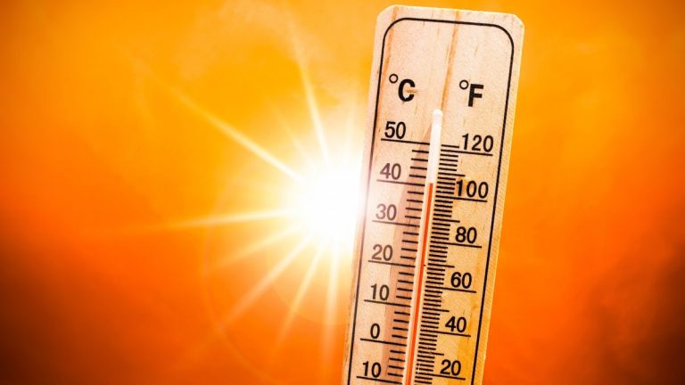 Jharkhand Weather: Heat will not let up in Jharkhand, temperature will cross 40 degrees in many districts including Ranchi from tomorrow.