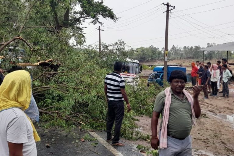 Jharkhand Weather: Palamu weather turns pleasant due to storms and rains, a relief from intense heat