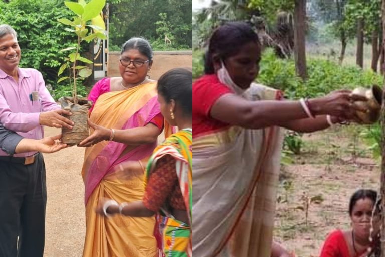 World Environment Day: Jharkhand's Padma Shri Jamuna Tudu and Sami Murmu fight jungle mafia, read Lady Tarzan's story