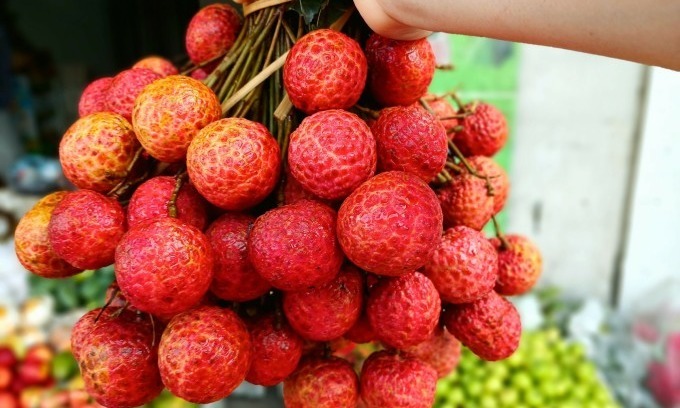 Lychee prices triple at season end as poor harvest squeezes supply