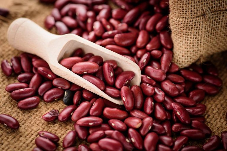 You will be surprised to know the benefits of eating kidney beans every day