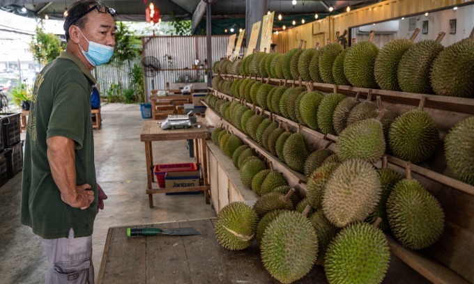 Export permit hurdles for Malaysia’s fresh durian shipment to China