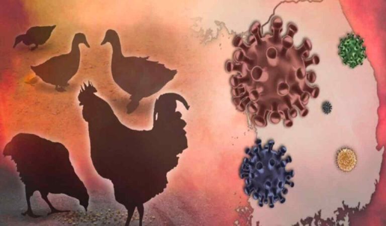 Bird flu impacts human brain: Study-Read