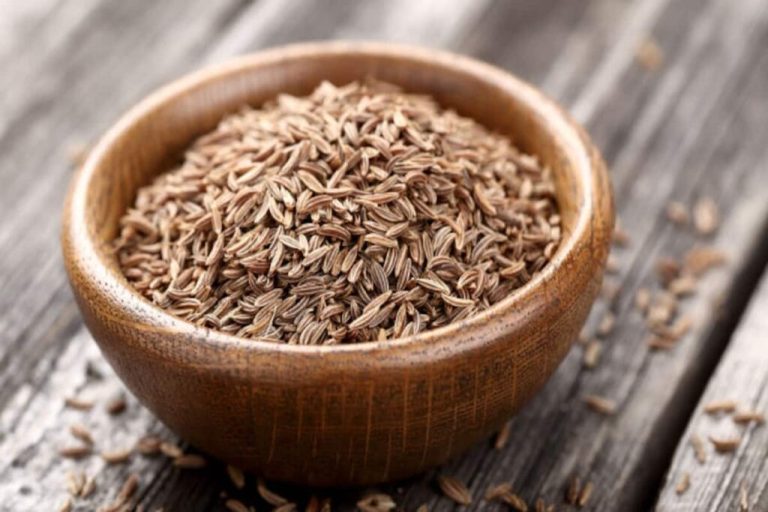 Consuming cumin every day can be beneficial for your body, know how