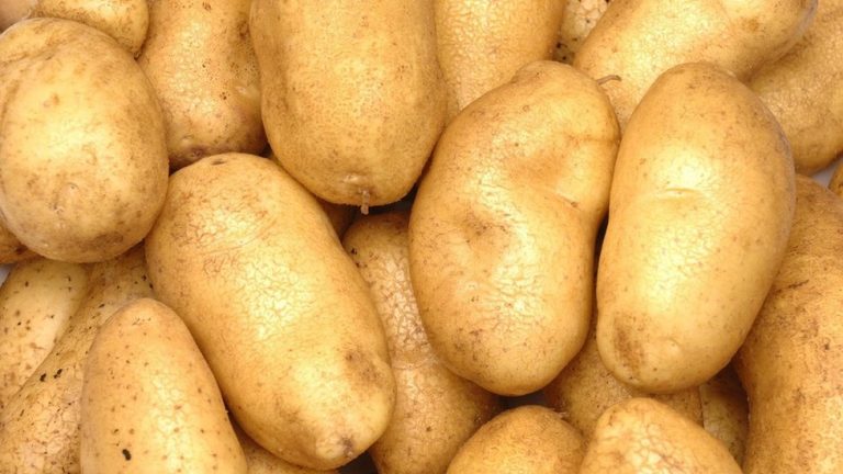 Do you know what other uses potatoes have apart from eating? Read now