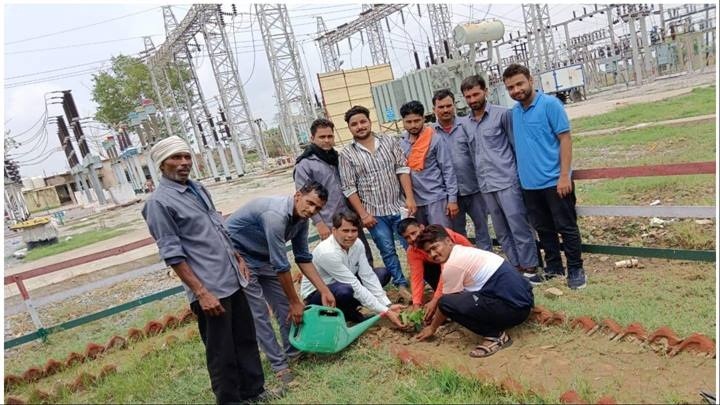 Gwalior: Massive plantation done at sub stations and residential colonies – ..