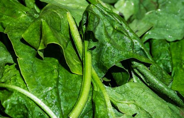 Know how to keep your stomach healthy by consuming spinach