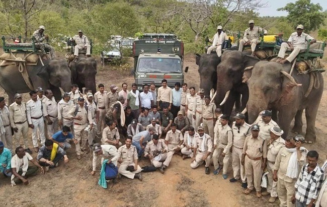 MP: Chief Minister will honor 10 forest workers on International Tiger Day – ..