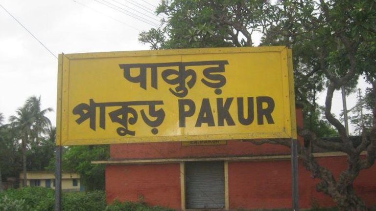 Jharkhand Assembly Elections 2024: Minority Dominated Pakur Assembly Constituency, Know Complete Maths