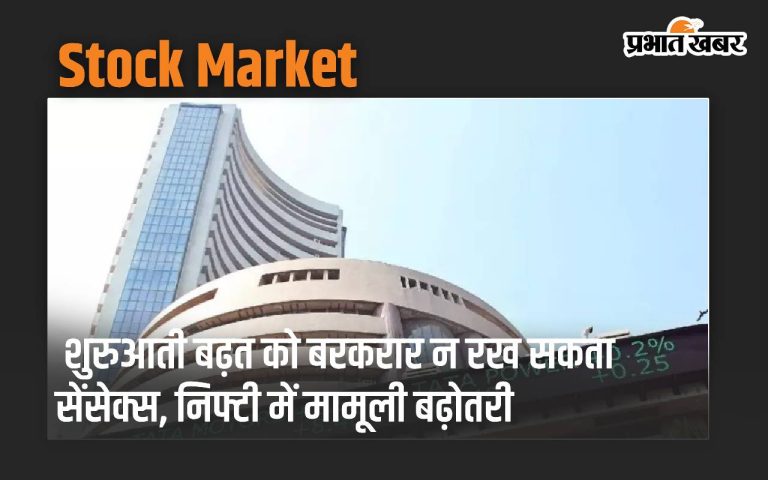 Sensex could not hold on to its early gains, with Nifty marginally higher