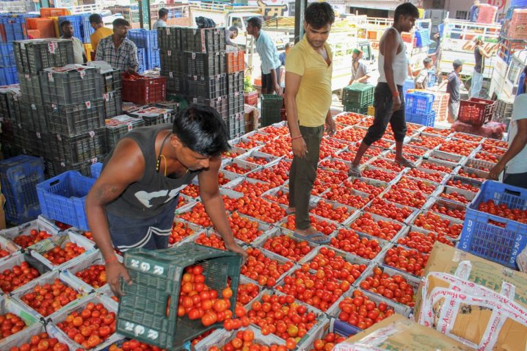 Tomato price hike: Tomato prices will drop, NCCF is gearing up to sell them in Delhi-NCR at Rs.