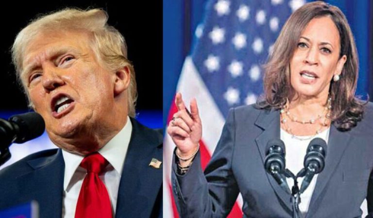 Trump calls Harris worse presidential candidate than Biden-Read