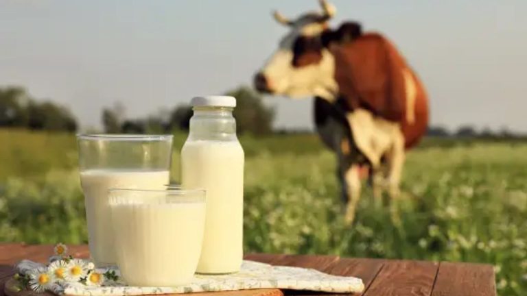 Maharashtra: Only Rs 5 subsidy for milk producers, good news in election year?