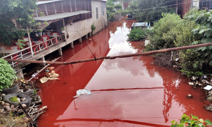 Canal water turns blood red due to paint residue