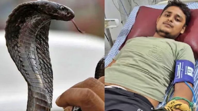 The snake said in the dream – I will die if I bite for the ninth time… The family of the young man who was bitten 7 times in 40 days is in panic!