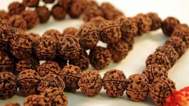 There are many benefits of wearing one Mukhi Rudraksha, do not do these things after wearing it