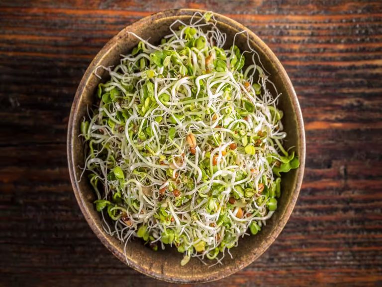 Sprouts Benefit: At what time are the benefits of eating sprouts the most? Know about the benefits of sprouted beans  | News India – ..