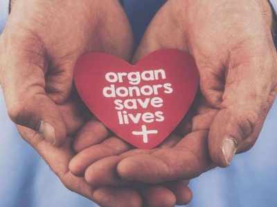 India facing a serious crisis of organ wastage: Experts