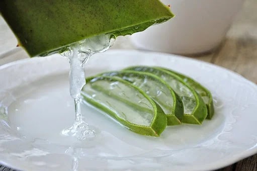 In just 10 days, you will get such amazing benefits from Aloe Vera that everyone will be amazed at it