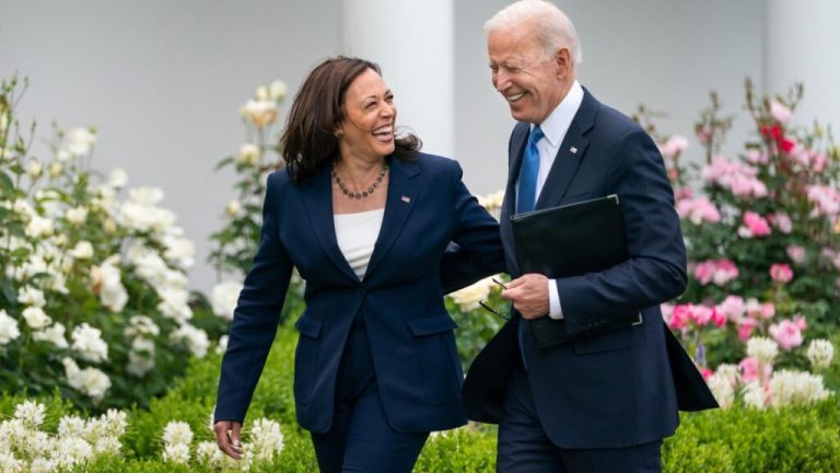 Hillary Clinton and Joe Biden praised Kamala Harris profusely, the Vice President was overjoyed