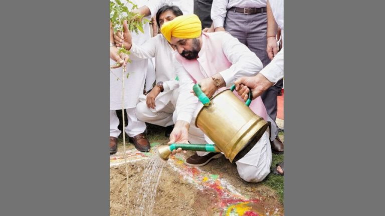 Make the plantation campaign a mass movement… CM Bhagwant Mann appeals in Hoshiarpur – Read