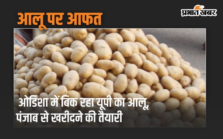 Potatoes from UP are sold in Odisha, arrangements are made to buy from Punjab