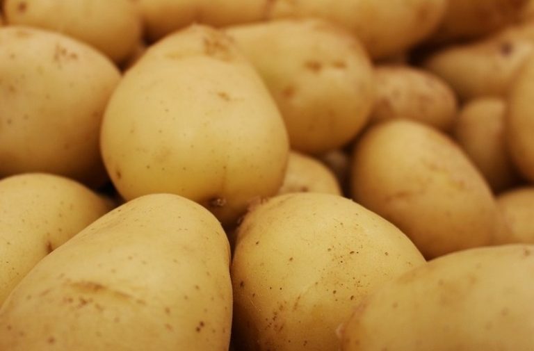 Read procuring potatoes from Uttar Pradesh: Official