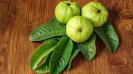 The leaves of this fruit are beneficial in diabetes and weight loss, it is a panacea for toothache or swelling in the mouth, know the benefits…