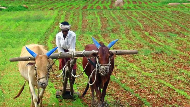 Bumper gift for farmers: Government announced to release installment of ₹ 5000 next month