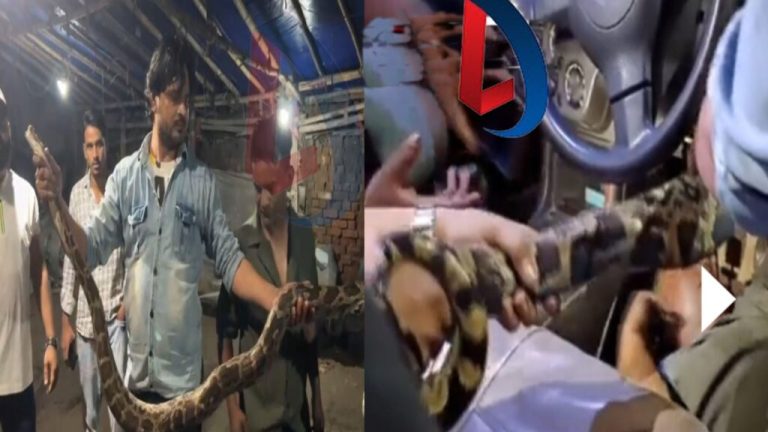 He travelled for hours in a car with a python snake, when the person sitting on the driving seat saw him he was shocked