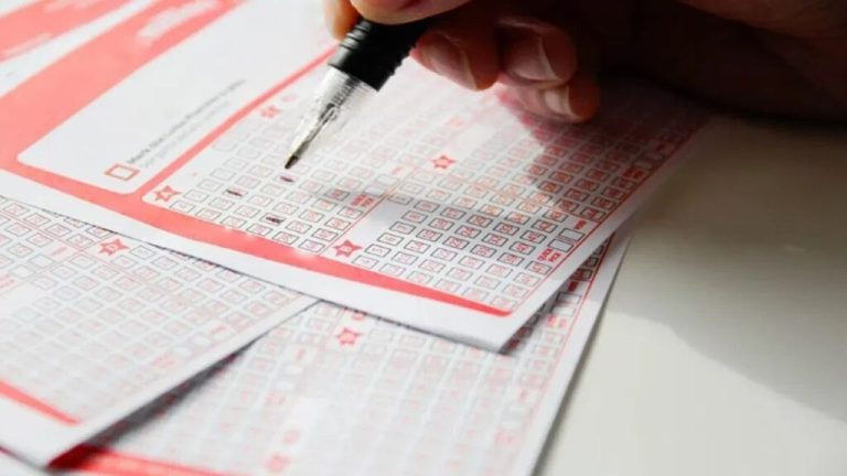 Nagaland Lottery Sambad Result 1PM, 6PM, 8PM for 20.08.2024: Dear Godavari Winners, Prize Rs 1cr