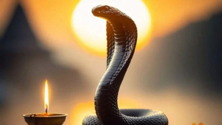 Nag Panchami is today, why roti is not made on this day, know the religious reason