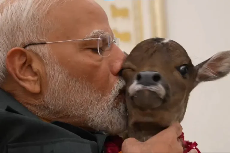 PM Modi Welcomes Adorable New Member ‘Deepjyoti’ at His Residence, Shares Heartwarming Bond