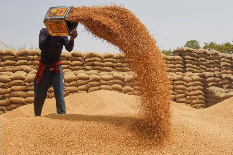 The flour of the poor does not get wet, the government attacks the wheat hoarders