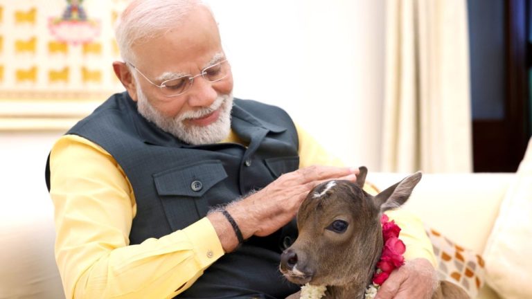 A new member arrives at Prime Minister Modi's house named 'Deepjyothi'!