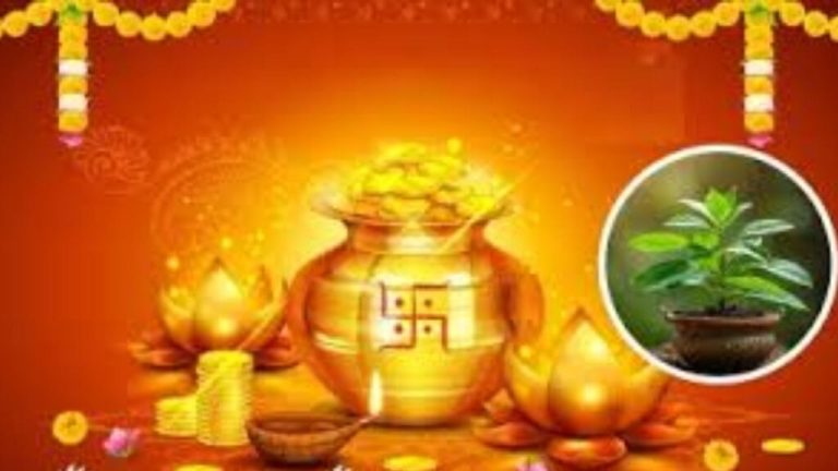 Tulsi will bring happiness and prosperity, do this work with faith on the day of Dhanteras