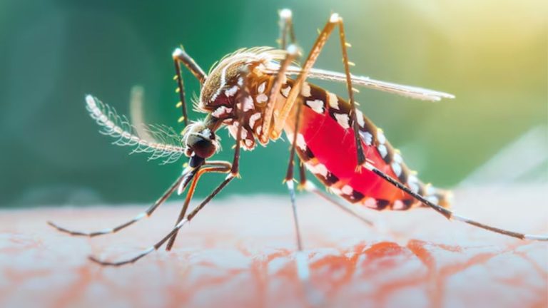 Japanese encephalitis hits Delhi, a deadly mosquito-borne disease