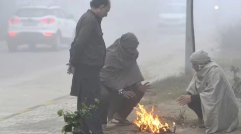 Madhubani Weather: Cold and fog wreak havoc in Madhubani, brakes have also been imposed on vehicular movement.